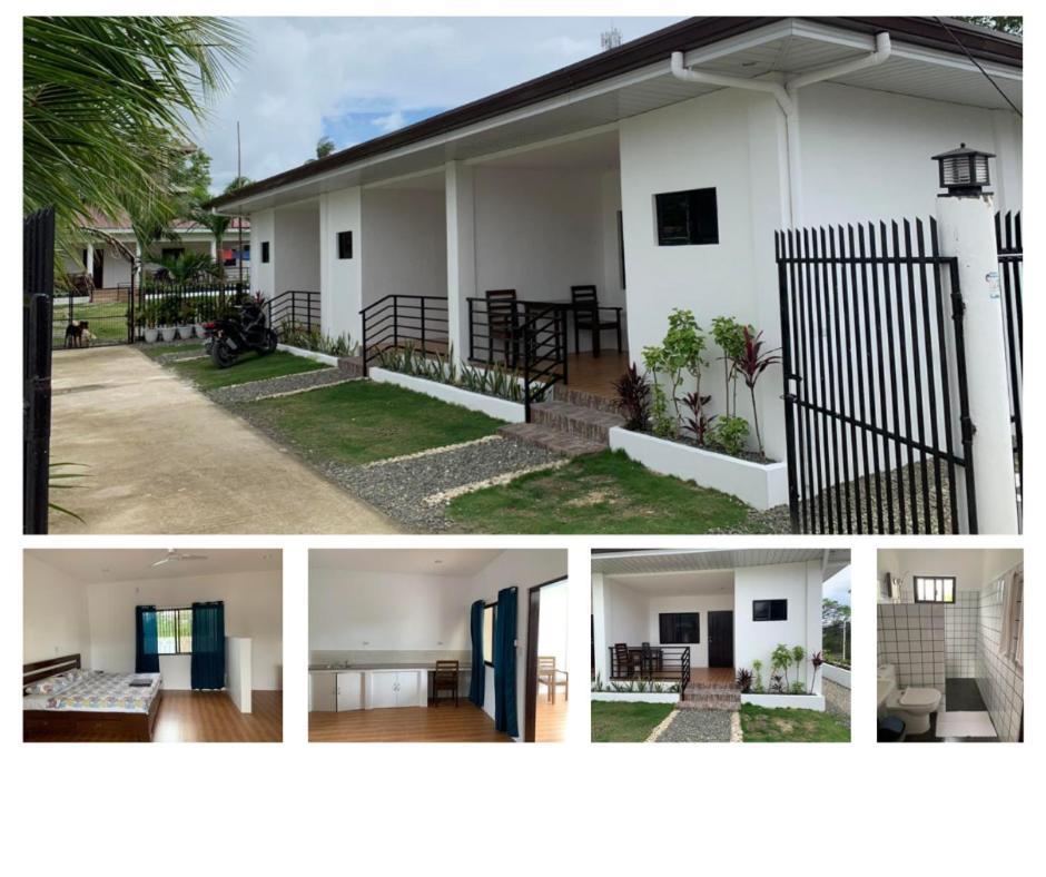 Palm Tree Lodge Moalboal Esterno foto